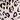 White Leopard