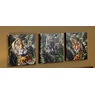 3-Piece Big Cats Canvas Set, , large