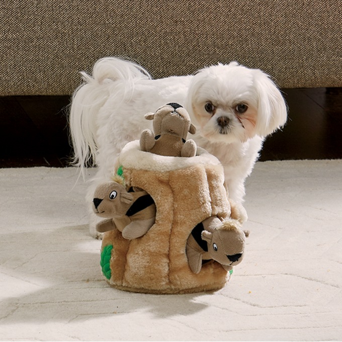 Outward Hound Hide-A-Squirrel Dog Toy, , large