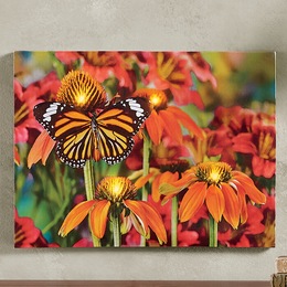 Lit Monarch Butterfly Wall Art, , large