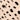 Hair Turban, Cheetah, swatch