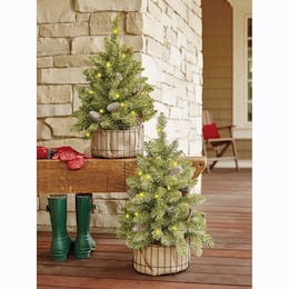 Set Of 2 Christmas Trees In Wire Basket, , large