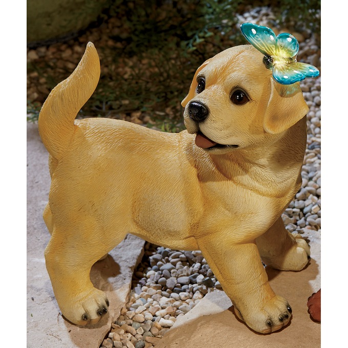 Solar Puppy with Butterfly, , large