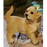 Solar Puppy with Butterfly, , large