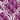 Brights Reversible Protector, Purple, swatch