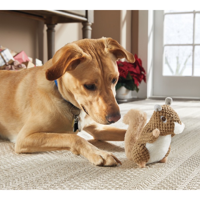 Tough Critter Chew Toy, , large