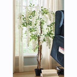 White Wisteria Tree, , large