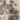 Gray Rose Toile