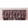 Fall Peacock Valance, , large