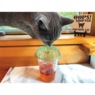 Billy-Bob 10 Pack of Fly-Lids for Cups, , large