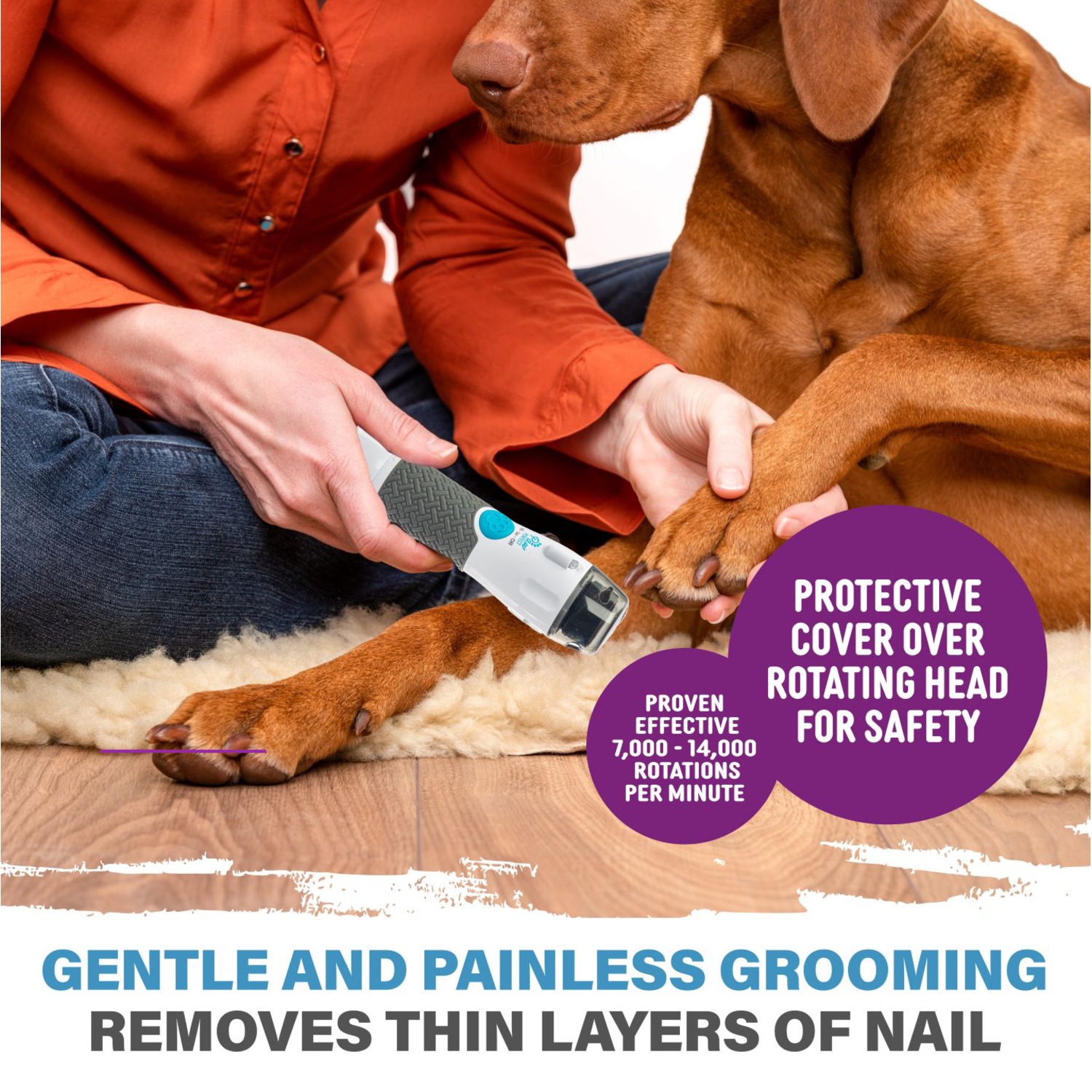 Paw Perfect Pet Nail Groomer Seventh Avenue