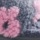 Navy Pink