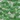 Solar Cross with Flowers, Green, swatch