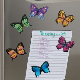 6-Piece Butterfly Magnet Set, , large