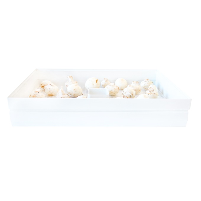 Open Country Digital Food Dehydrator, White, large