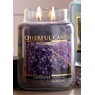 Cheerful Large Jar Candle, 24 Ounces, , large