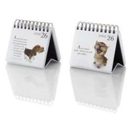 Days With Pets Spiral Calendar, , large