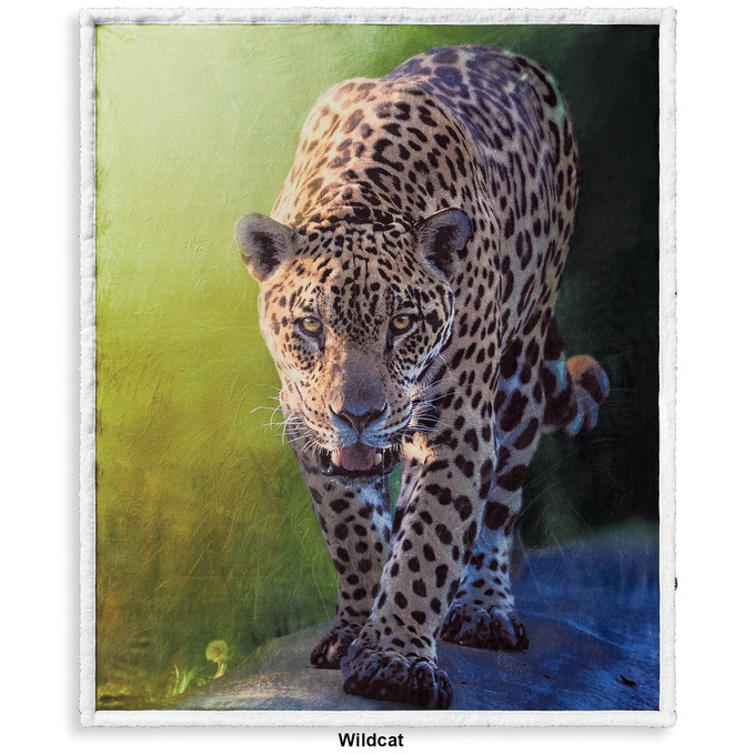 Wildcat Novelty Sherpa Throw, , large
