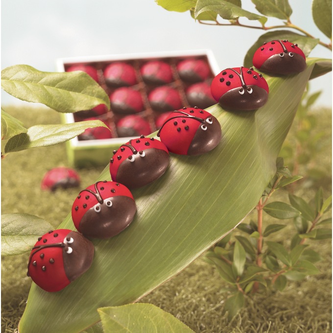 Ladybug Truffles, , large
