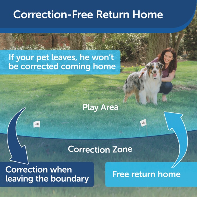 PetSafe Wireless Dog Fence, , large