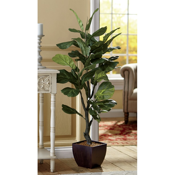 Fiddle Leaf Tree Seventh Avenue