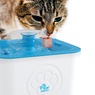 Paw Perfect Water Fountain, , large