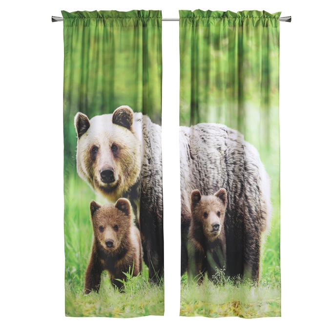 Scenic Photo Window Set , , large