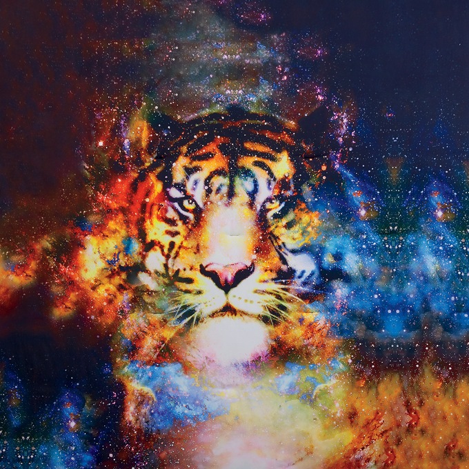 Cosmic Tiger Comforter Set Seventh Avenue