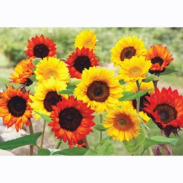 Sunflower Flower Mat, , large