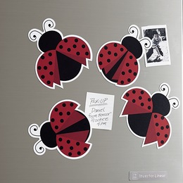 Set of 4 Assorted Magnets, , large