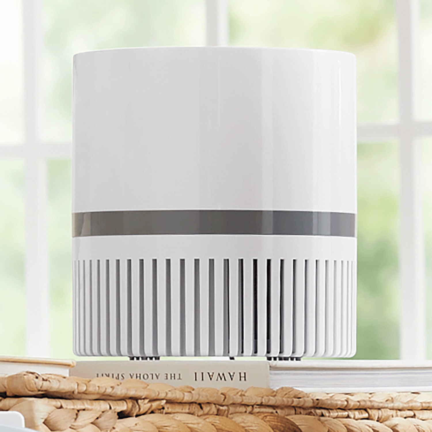 Therapure TPP100 Desktop Air Purifier | Seventh Avenue