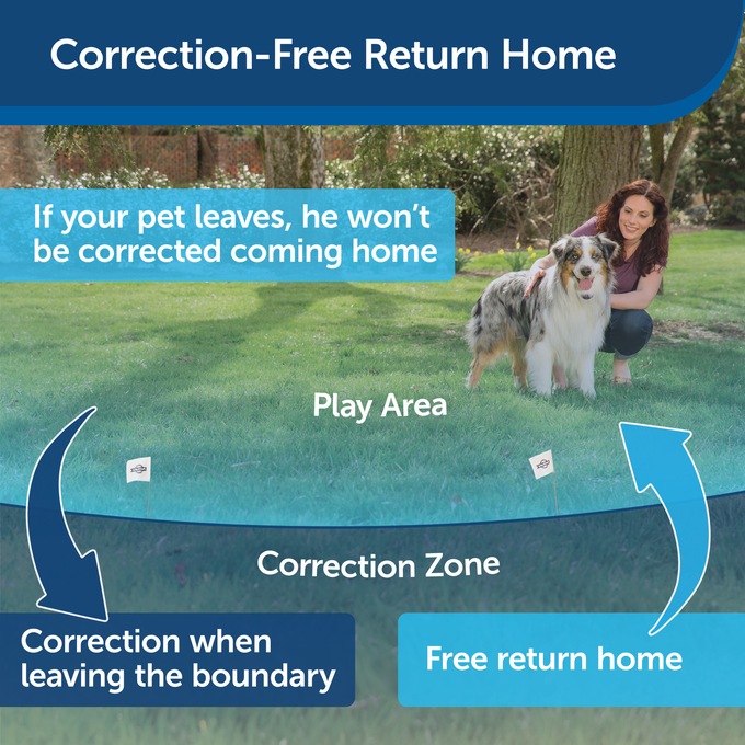 PetSafe Wireless Dog Fence, , large