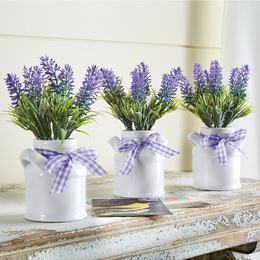 Set of 3 Lavender in Ceramic Pots, , large