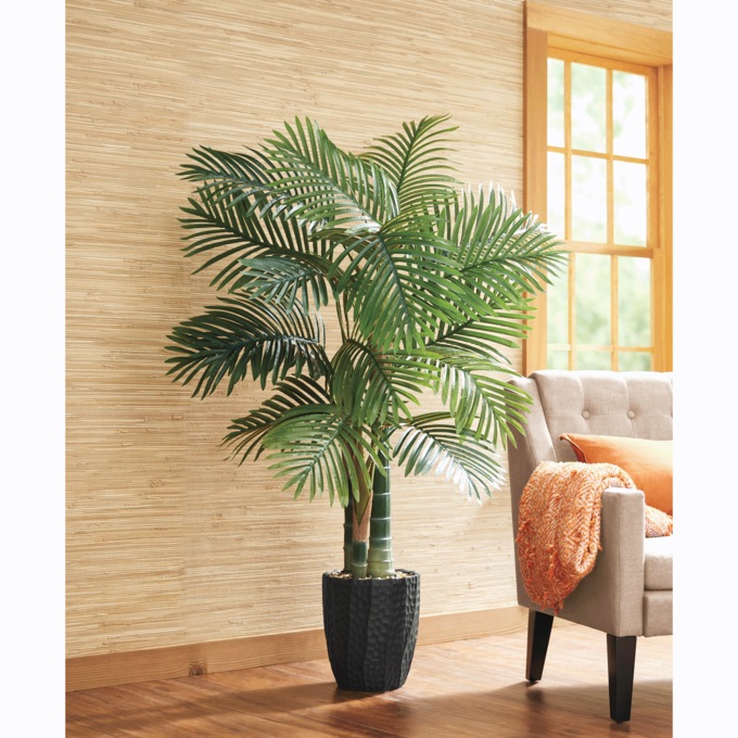 Palm Tree, , large
