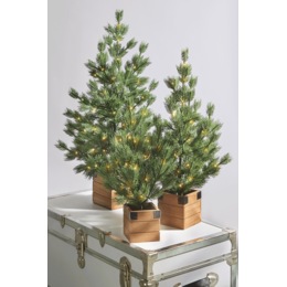 Set of 3 Lit Rustic Trees in Wood Boxes, , large