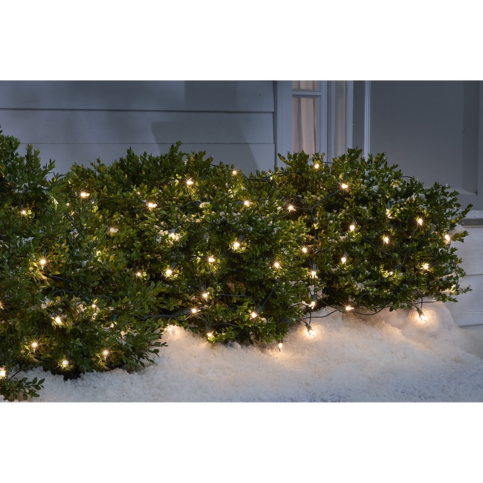 Clear Net Lights, , large