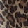 Tawny Leopard