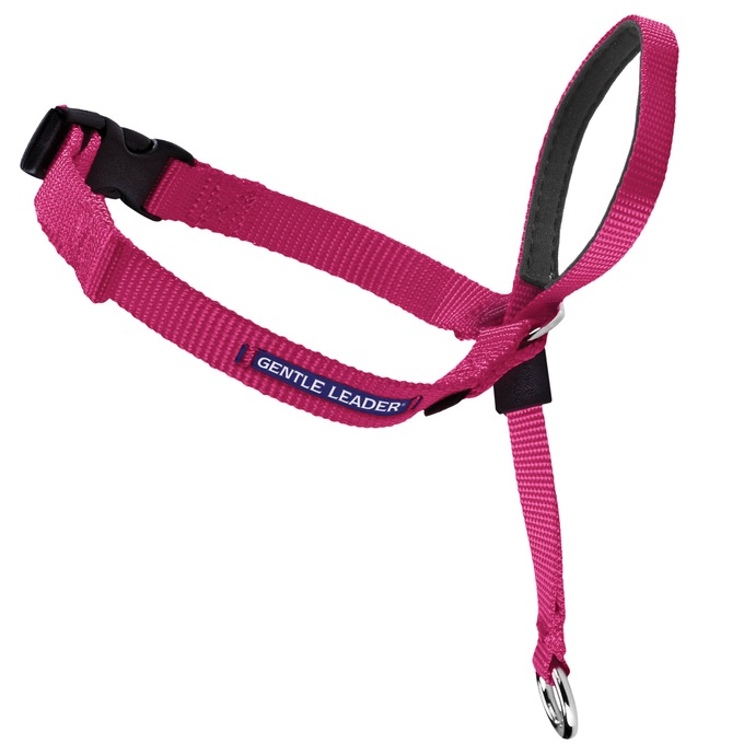 PetSafe Gentle Leader, , large