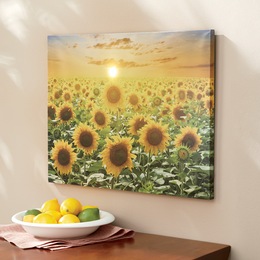 Wall Art Pictures Sets Seventh Avenue Light Up Sunflower Canvas Print