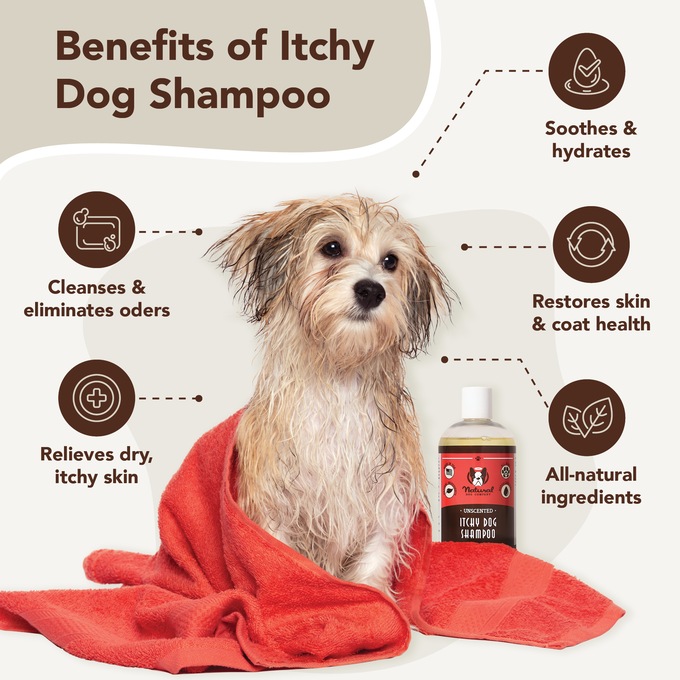 Natural Dog Company Itchy Dog Shampoo Cleansing Itch Relief, , large