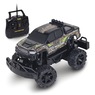 RC Real Tree Truck, , large