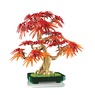 LEGO Botanicals Japanese Red Maple Bonsai Tree, , large