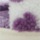 White Purple