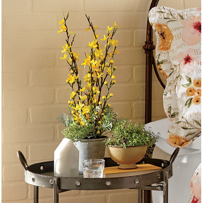 Forsythia in Planter, , large