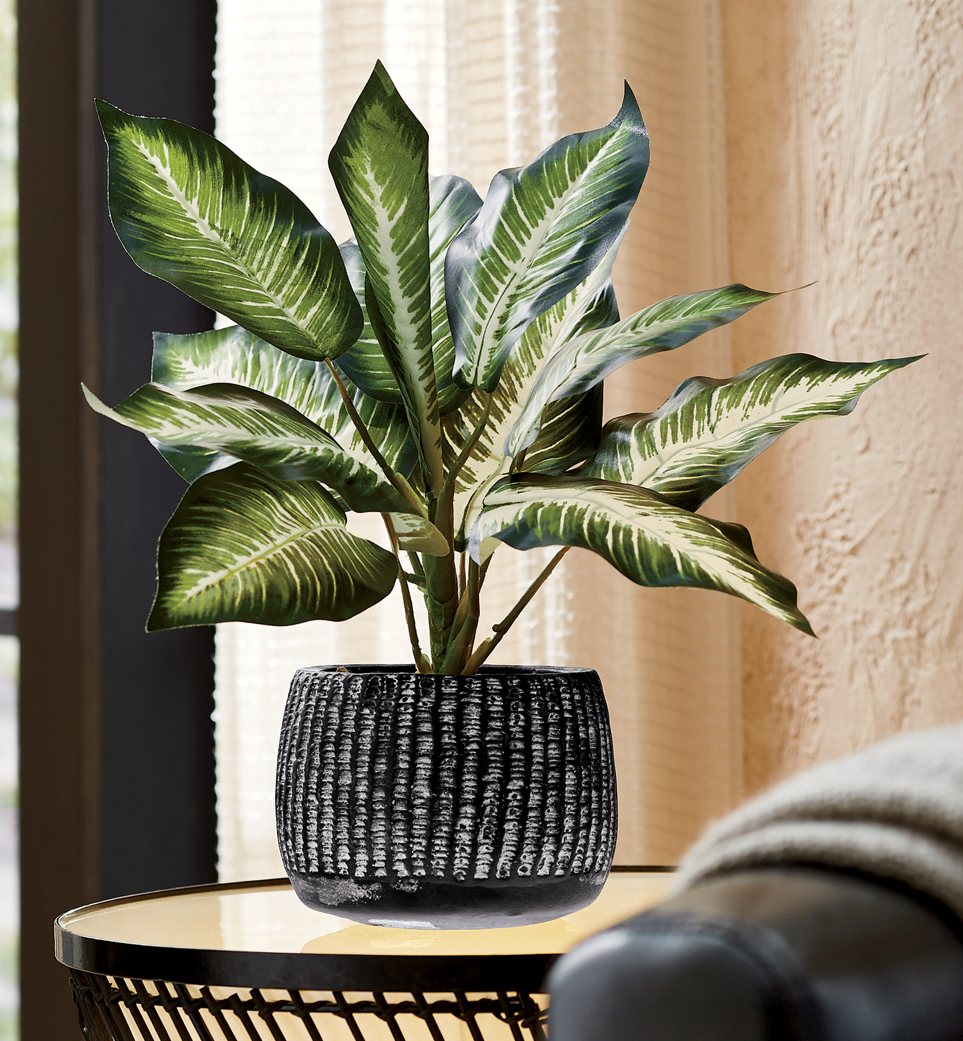 Plant in Black Pot Seventh Avenue