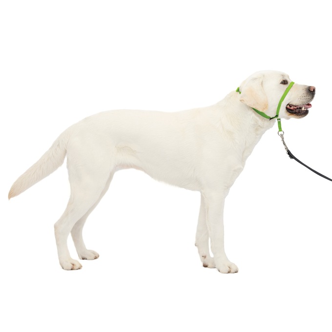 PetSafe Gentle Leader, , large