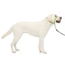 PetSafe Gentle Leader, , large
