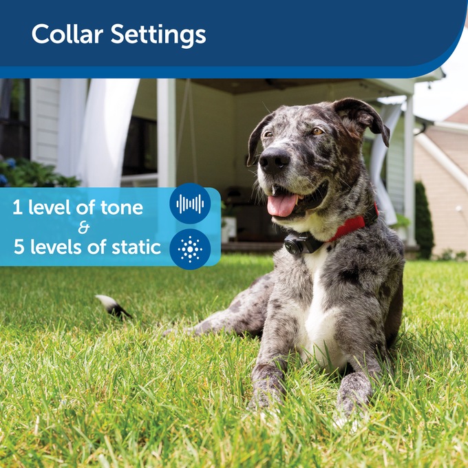 PetSafe Wireless Dog Fence, , large