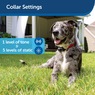 PetSafe Wireless Dog Fence, , large