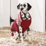 Personalized Heart Argyle Pet Sweater, , large